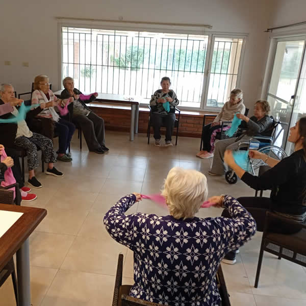 Acompañamiento profesional